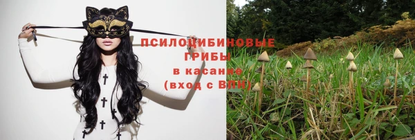 ECSTASY Армянск